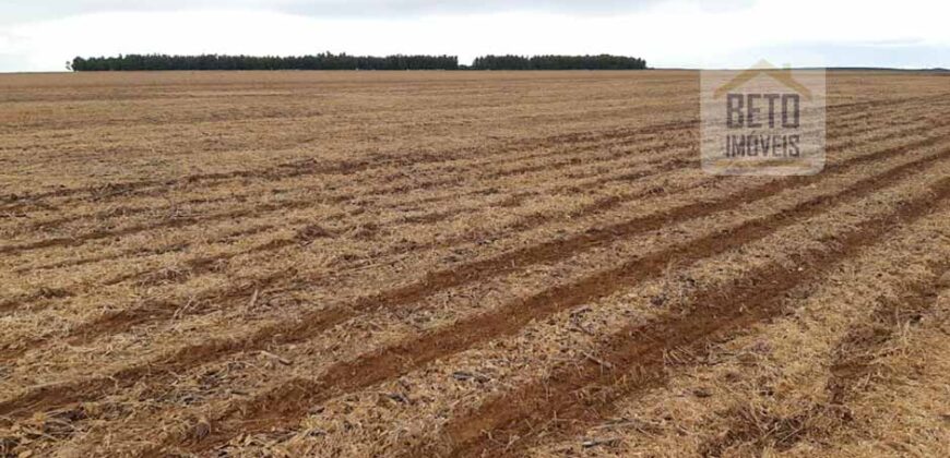Fazenda Excelente Logística 17.000 hectares Lavoura Soja e Algodão | Água Boa – MT