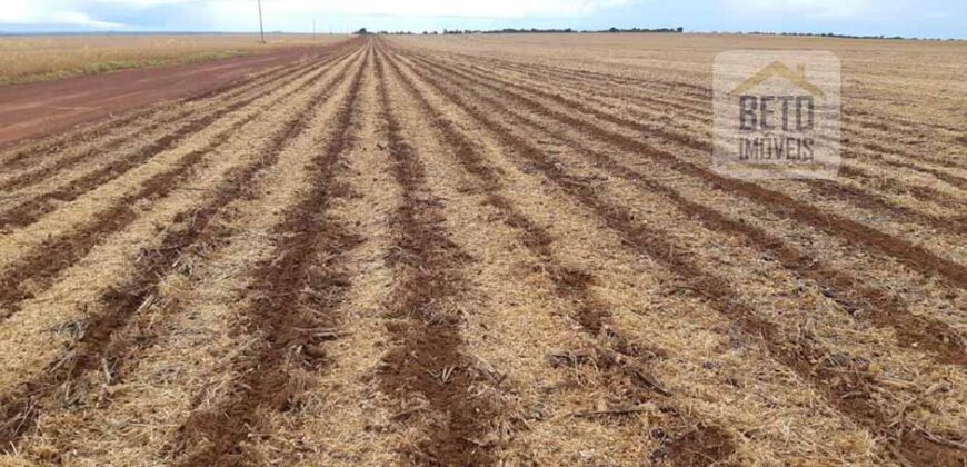Fazenda Excelente Logística 17.000 hectares Lavoura Soja e Algodão | Água Boa – MT