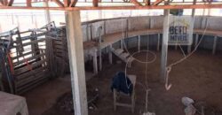 Fazenda Excelente Logística 17.000 hectares Lavoura Soja e Algodão | Água Boa – MT