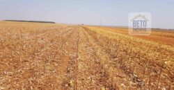 Fazenda Excelente Logística 17.000 hectares Lavoura Soja e Algodão | Água Boa – MT