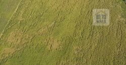 Fazenda Excelente Logística 17.000 hectares Lavoura Soja e Algodão | Água Boa – MT