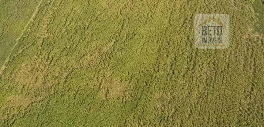 Fazenda Excelente Logística 17.000 hectares Lavoura Soja e Algodão | Água Boa – MT