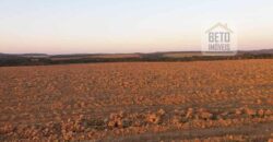 Fazenda Excelente Logística 17.000 hectares Lavoura Soja e Algodão | Água Boa – MT