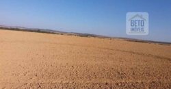 Fazenda Excelente Logística 17.000 hectares Lavoura Soja e Algodão | Água Boa – MT