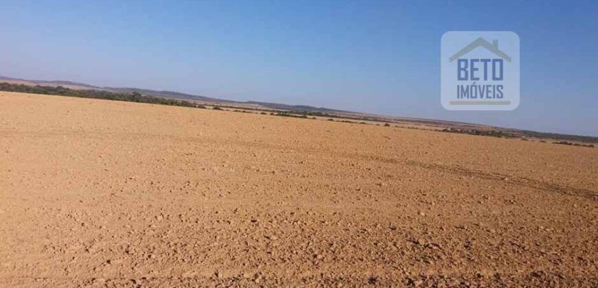 Fazenda Excelente Logística 17.000 hectares Lavoura Soja e Algodão | Água Boa – MT
