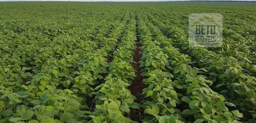 Fazenda Excelente Logística 17.000 hectares Lavoura Soja e Algodão | Água Boa – MT