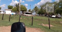 Fazenda 22.070 hectares com logística e áreas de pastos natural | Cáceres/ MT