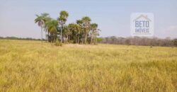 Fazenda 22.070 hectares com logística e áreas de pastos natural | Cáceres/ MT
