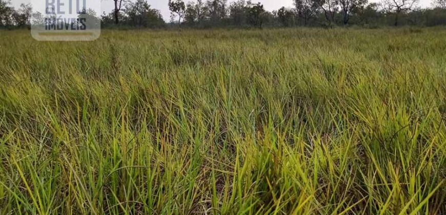 Fazenda 22.070 hectares com logística e áreas de pastos natural | Cáceres/ MT
