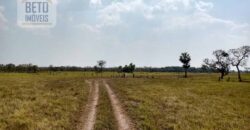 Fazenda 22.070 hectares com logística e áreas de pastos natural | Cáceres/ MT