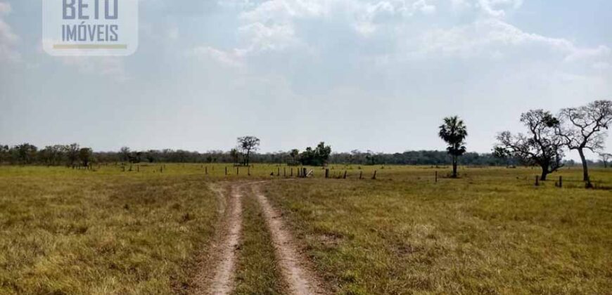 Fazenda 22.070 hectares com logística e áreas de pastos natural | Cáceres/ MT