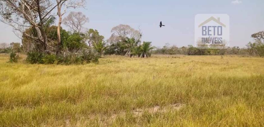 Fazenda 22.070 hectares com logística e áreas de pastos natural | Cáceres/ MT