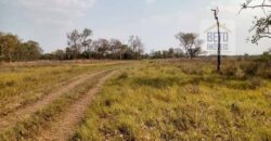 Fazenda 22.070 hectares com logística e áreas de pastos natural | Cáceres/ MT