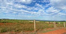 Fazenda com 2.200 hectares pronta para Pasto e lavoura | Guarantã do Norte/ MT