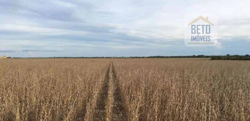 Fazenda c/ benfeitorias 1.360 alqueires sede c/ 3 Quartos e 1 suíte  | Cocalinho – MT