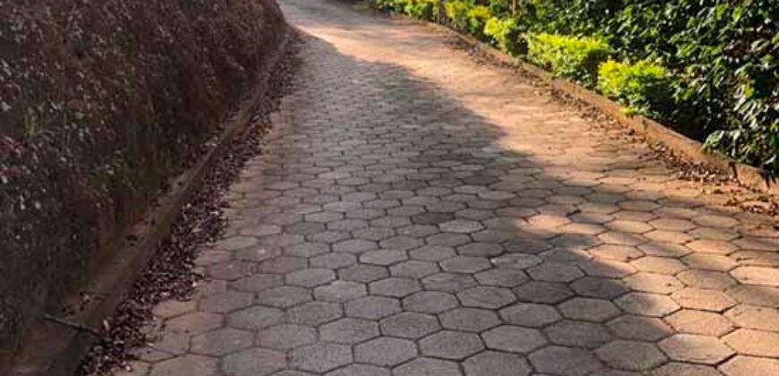 Fazenda de Café estrutura completa e 348 hectares | Região Manhuaçu/ MG
