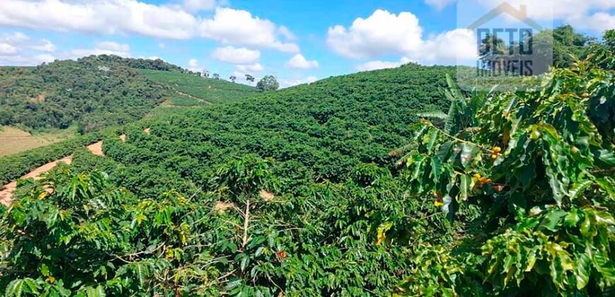 Fazenda Lavoura de Café com 78 hectares e área de pasto | Caputira/ MG