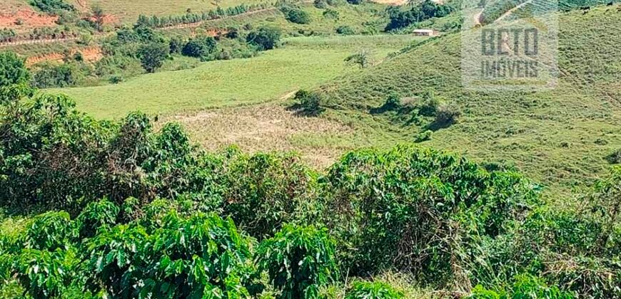Fazenda Lavoura de Café com 78 hectares e área de pasto | Caputira/ MG