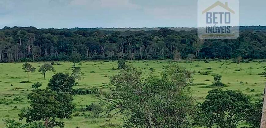 Fazenda Dupla Aptidão com 2.318 alqueires Pecuária e Agricultura | Vale do Araguaia/ TO
