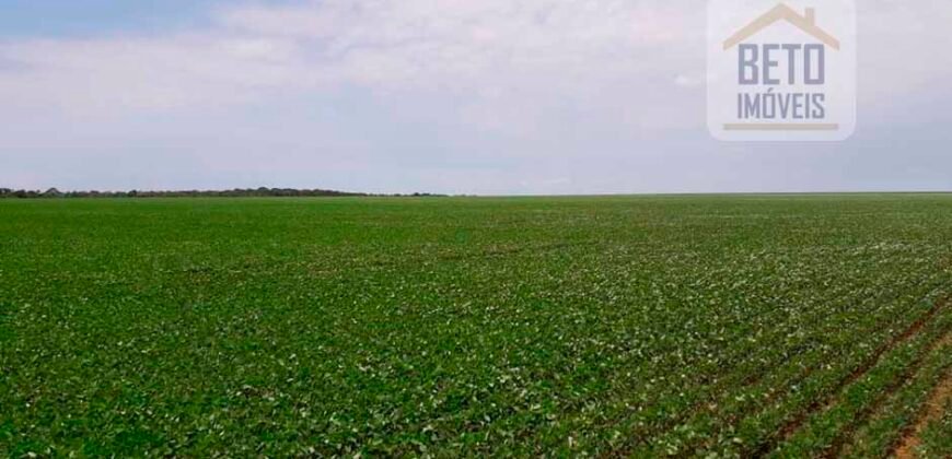 Fazenda Dupla Aptidão com 2.318 alqueires Pecuária e Agricultura | Vale do Araguaia/ TO