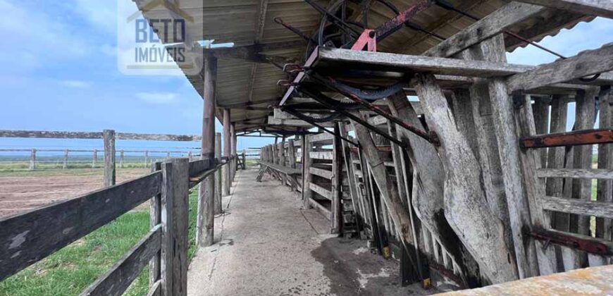 Linda fazenda toda pronta com excelente casa sede 340 alqueires | Carapebus/ RJ