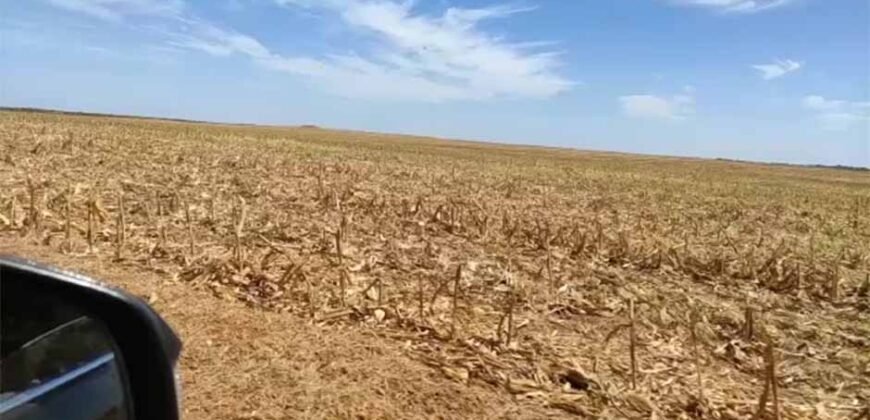 Fazenda Dupla Aptidão com 2.318 alqueires Pecuária e Agricultura | Vale do Araguaia/ TO