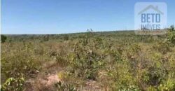 Fazenda TOP Produtiva Lavoura Pasto 46.623 hectares e Pista de Pouso | Paragominas/ PA