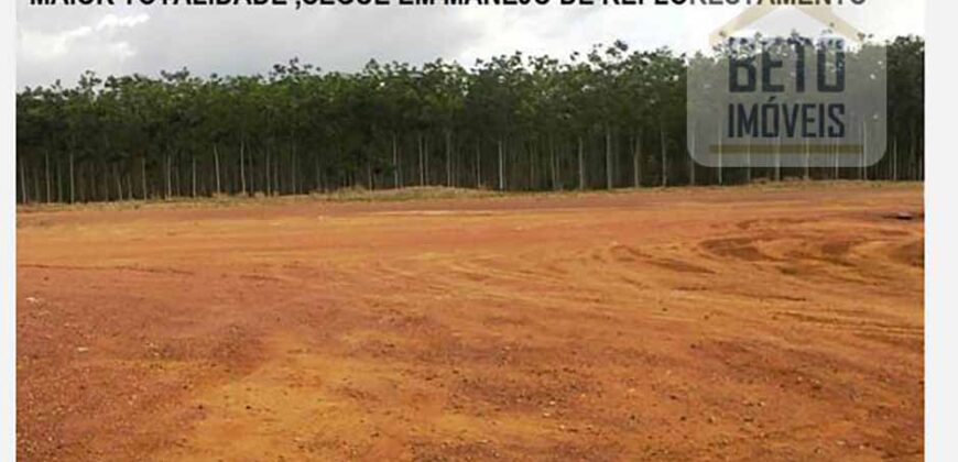 Fazenda TOP Produtiva Lavoura Pasto 46.623 hectares e Pista de Pouso | Paragominas/ PA