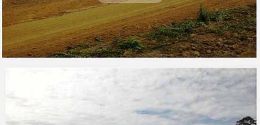 Fazenda TOP Produtiva Lavoura Pasto 46.623 hectares e Pista de Pouso | Paragominas/ PA