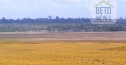 Fazenda TOP Produtiva Lavoura Pasto 46.623 hectares e Pista de Pouso | Paragominas/ PA