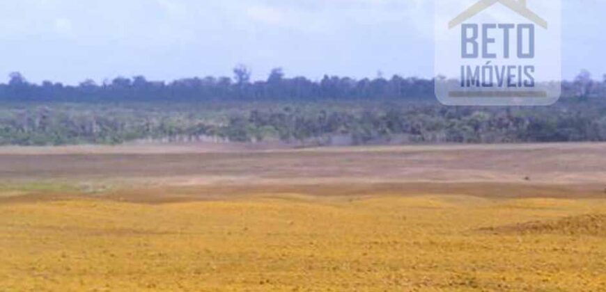 Fazenda TOP Produtiva Lavoura Pasto 46.623 hectares e Pista de Pouso | Paragominas/ PA