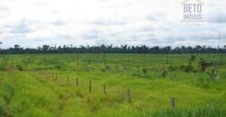 Fazenda c/ Rebanho 25mil cabeças de gado, avião e pista de pouso | Rondolândia/ MT