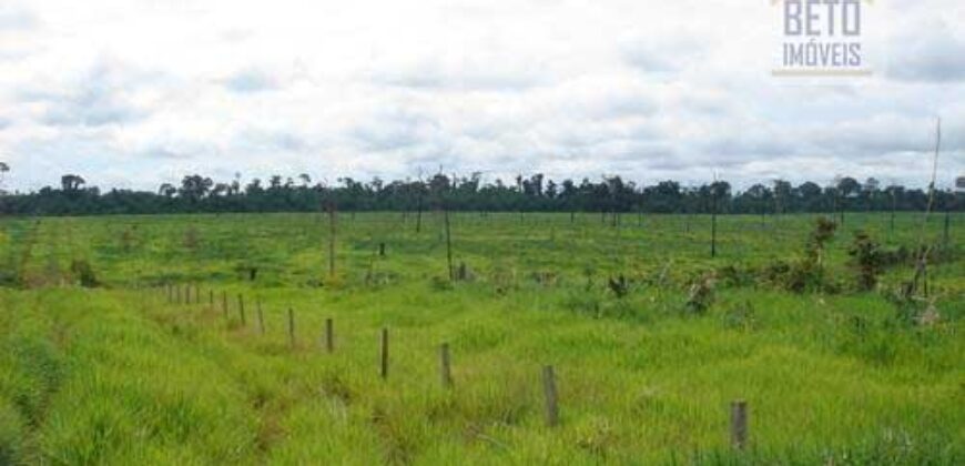 Fazenda c/ Rebanho 25mil cabeças de gado, avião e pista de pouso | Rondolândia/ MT