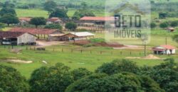 Fazenda c/ Rebanho 25mil cabeças de gado, avião e pista de pouso | Rondolândia/ MT