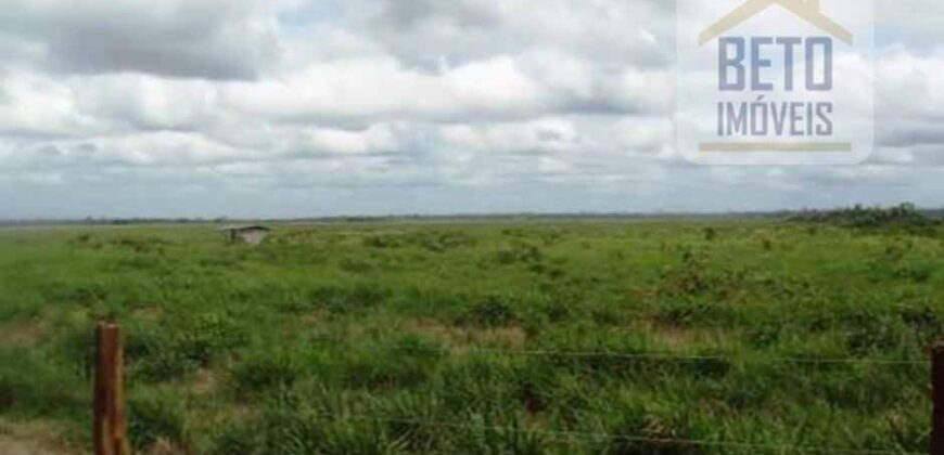 Fazenda TOP Produtiva Lavoura Pasto 46.623 hectares e Pista de Pouso | Paragominas/ PA