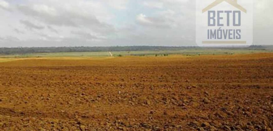 Fazenda TOP Produtiva Lavoura Pasto 46.623 hectares e Pista de Pouso | Paragominas/ PA