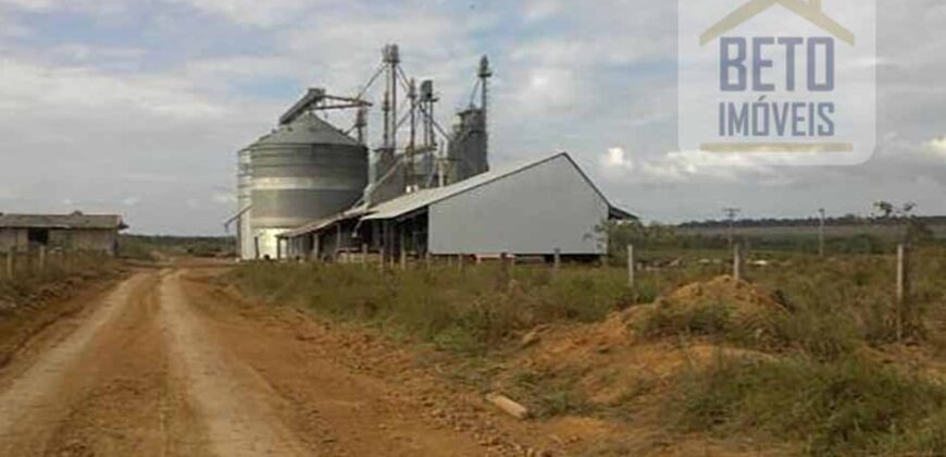 Fazenda TOP Produtiva Lavoura Pasto 46.623 hectares e Pista de Pouso | Paragominas/ PA