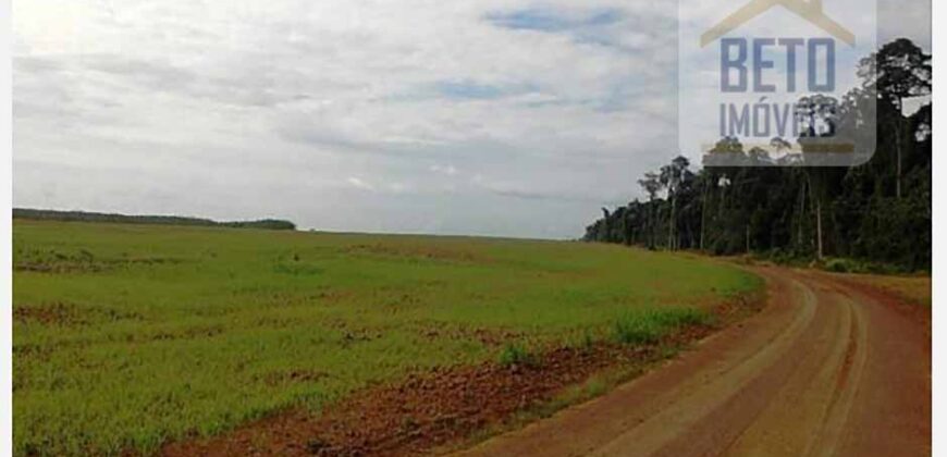 Fazenda TOP Produtiva Lavoura Pasto 46.623 hectares e Pista de Pouso | Paragominas/ PA