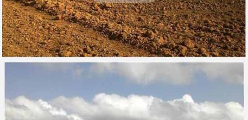 Fazenda TOP Produtiva Lavoura Pasto 46.623 hectares e Pista de Pouso | Paragominas/ PA