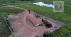Fazenda para pastagem com 7500 cabeças de gado e próximo à cidade | Marabá – PA