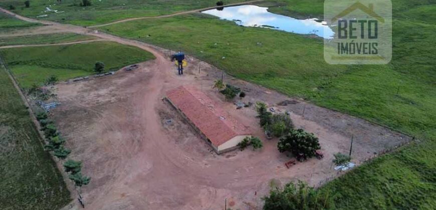 Fazenda para pastagem com 7500 cabeças de gado e próximo à cidade | Marabá – PA