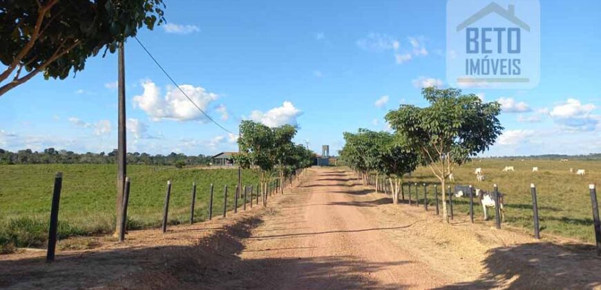 Fazenda para pastagem com 7500 cabeças de gado e próximo à cidade | Marabá – PA