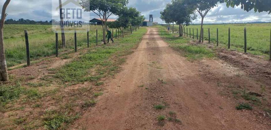Fazenda para pastagem com 7500 cabeças de gado e próximo à cidade | Marabá – PA