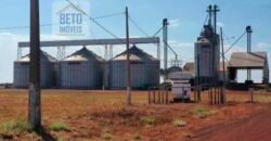 Fazenda para lavoura e pasto com toda infraestrutura 29.739 hectares | Bacia do Araguia – TO