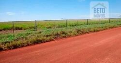 Fazenda para lavoura e pasto com toda infraestrutura 29.739 hectares | Bacia do Araguia – TO
