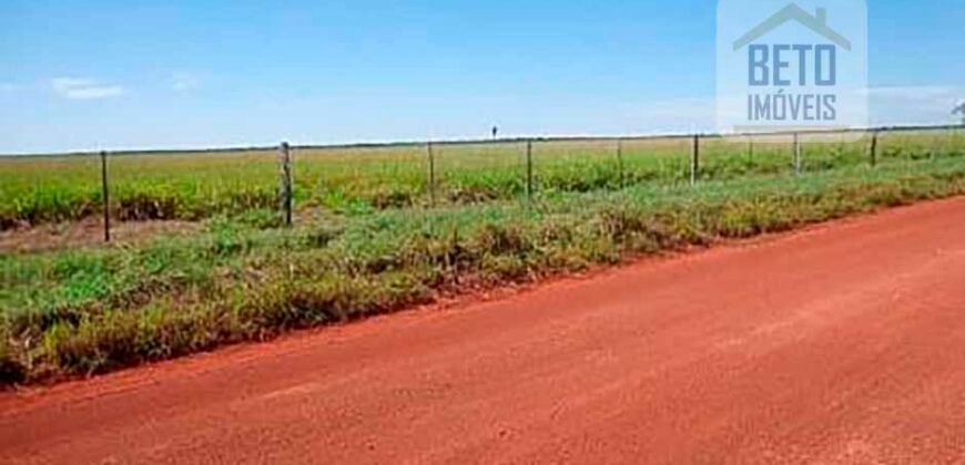 Fazenda para lavoura e pasto com toda infraestrutura 29.739 hectares | Bacia do Araguia – TO