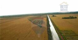 Fazenda para lavoura e pasto com toda infraestrutura 29.739 hectares | Bacia do Araguia – TO