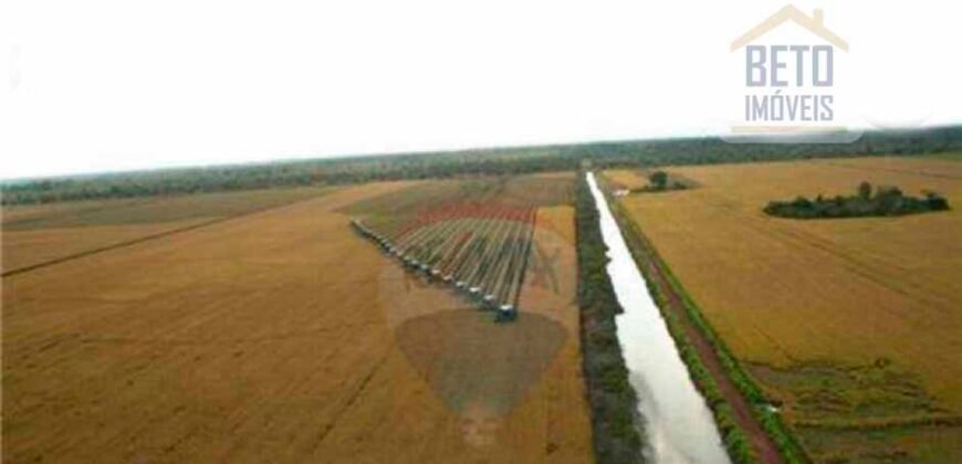 Fazenda para lavoura e pasto com toda infraestrutura 29.739 hectares | Bacia do Araguia – TO