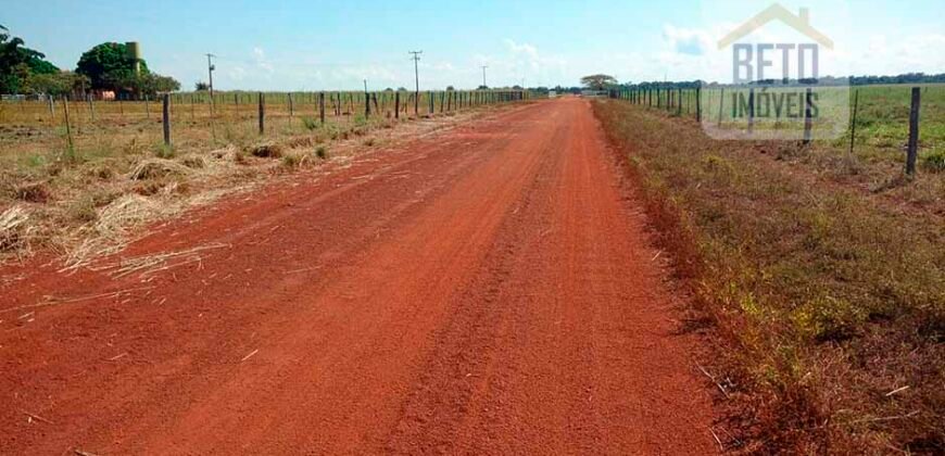 Fazenda para lavoura e pasto com toda infraestrutura 29.739 hectares | Bacia do Araguia – TO