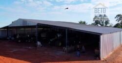 Fazenda para lavoura e pasto com toda infraestrutura 29.739 hectares | Bacia do Araguia – TO